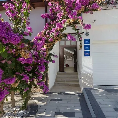 Апартаменты Rafaj Пула